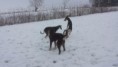 /album/fotoalbum-pics/a20160103-233527-jpg1/