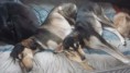 /album/fotoalbum-pics/a20160104-022205-jpg/
